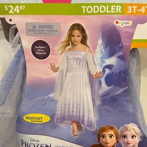 Halloween Costume - Disney Snow Queen Elsa